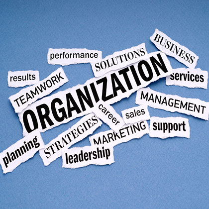 Organizational-Structure